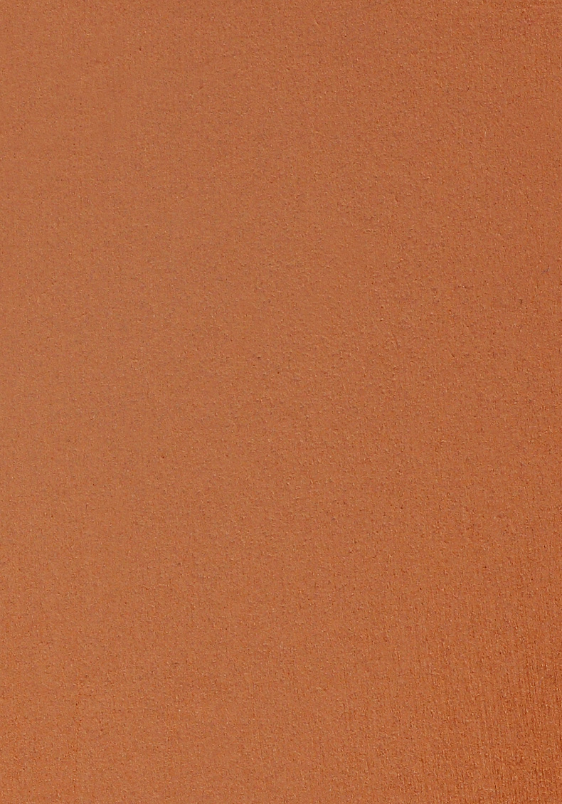  fond de teint poudre peau mate