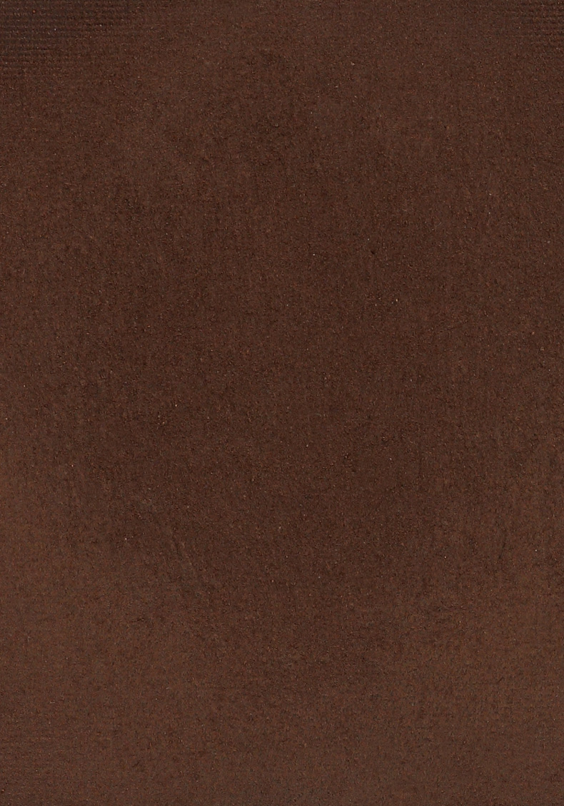 fond de teint poudre peau noire